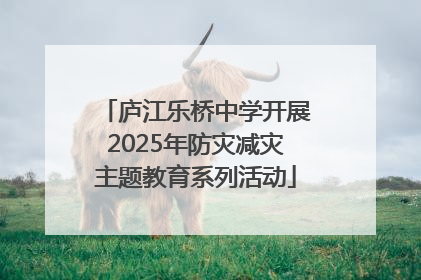 庐江乐桥中学开展2025年防灾减灾主题教育系列活动