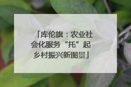 库伦旗：农业社会化服务“托”起乡村振兴新图景