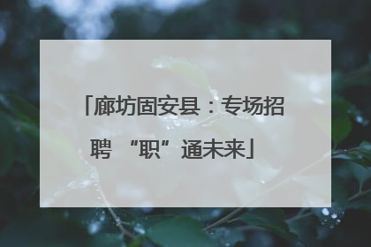 廊坊固安县：专场招聘 “职”通未来