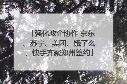 强化政企协作 京东、苏宁、美团、饿了么、快手齐聚郑州签约