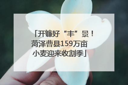 开镰好“丰”景！菏泽曹县159万亩小麦迎来收割季