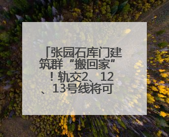 张园石库门建筑群“搬回家”！轨交2、12、13号线将可地下换乘