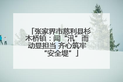 张家界市慈利县杉木桥镇：闻“汛”而动显担当 齐心筑牢“安全堤”