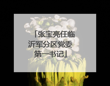 张宝亮任临沂军分区党委第一书记