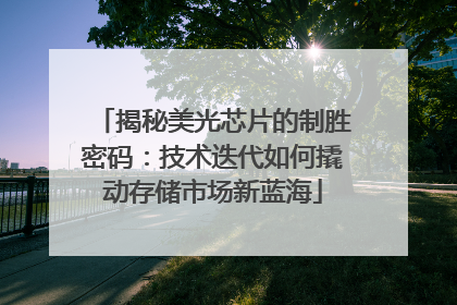 揭秘美光芯片的制胜密码：技术迭代如何撬动存储市场新蓝海