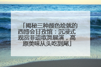 揭秘三种颜色绘就的西博会甘孜馆：沉浸式观赏非遗歌舞展演，高原美味从头吃到尾