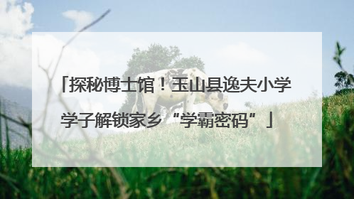 探秘博士馆！玉山县逸夫小学学子解锁家乡“学霸密码”
