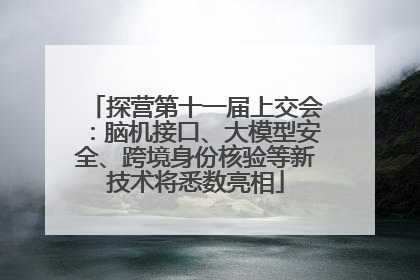探营第十一届上交会：脑机接口、大模型安全、跨境身份核验等新技术将悉数亮相