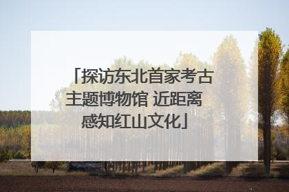 探访东北首家考古主题博物馆 近距离感知红山文化