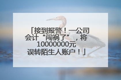 接到报警！一公司会计“闯祸了”，将10000000元误转陌生人账户！
