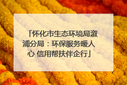 怀化市生态环境局溆浦分局：环保服务暖人心 信用帮扶伴企行