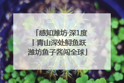 感知潍坊·深1度丨青山深处鲟鱼跃 潍坊鱼子酱闯全球