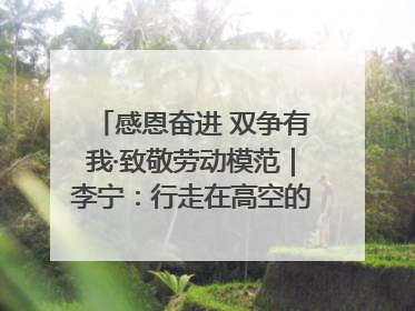 感恩奋进 双争有我·致敬劳动模范｜李宁：行走在高空的“电网卫士”