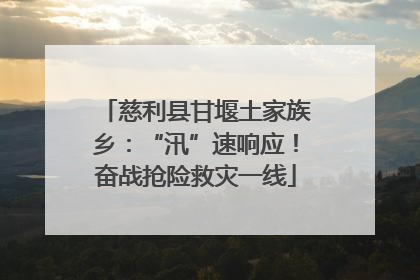 慈利县甘堰土家族乡：“汛”速响应！奋战抢险救灾一线