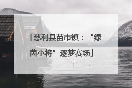 慈利县苗市镇：“绿茵小将”逐梦赛场