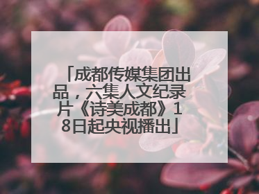 成都传媒集团出品，六集人文纪录片《诗美成都》18日起央视播出