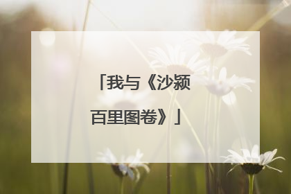 我与《沙颍百里图卷》