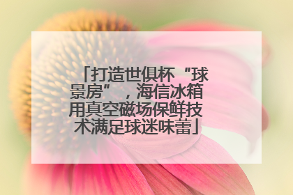 打造世俱杯“球景房”，海信冰箱用真空磁场保鲜技术满足球迷味蕾