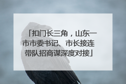 扣门长三角，山东一市市委书记、市长接连带队招商谋深度对接