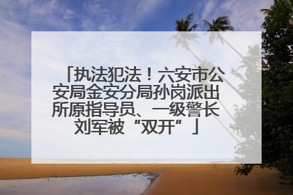 执法犯法！六安市公安局金安分局孙岗派出所原指导员、一级警长刘军被“双开”