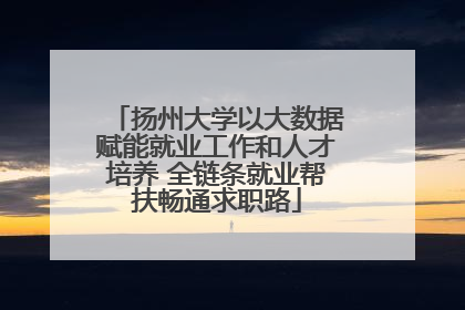 扬州大学以大数据赋能就业工作和人才培养 全链条就业帮扶畅通求职路