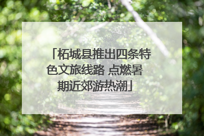 柘城县推出四条特色文旅线路 点燃暑期近郊游热潮