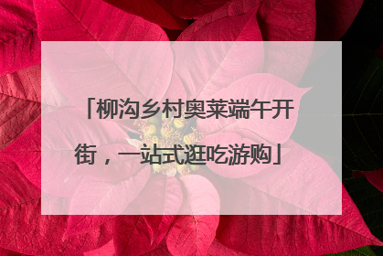 柳沟乡村奥莱端午开街，一站式逛吃游购