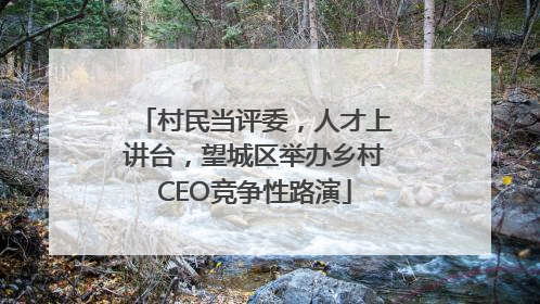村民当评委，人才上讲台，望城区举办乡村CEO竞争性路演