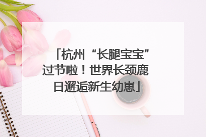 杭州“长腿宝宝”过节啦！世界长颈鹿日邂逅新生幼崽