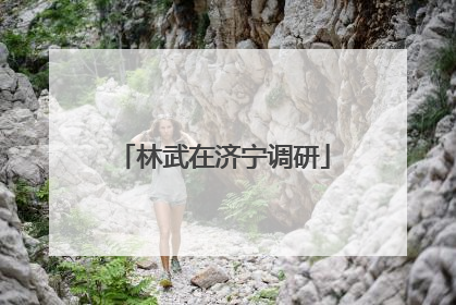林武在济宁调研