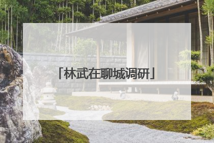 林武在聊城调研
