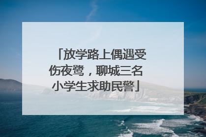 放学路上偶遇受伤夜鹭，聊城三名小学生求助民警