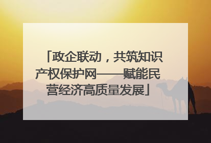 政企联动，共筑知识产权保护网——赋能民营经济高质量发展