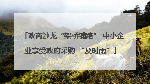 政商沙龙“架桥铺路” 中小企业享受政府采购 “及时雨”