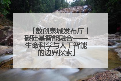 数创泉城发布厅丨碳硅基智能融合——生命科学与人工智能的边界探索