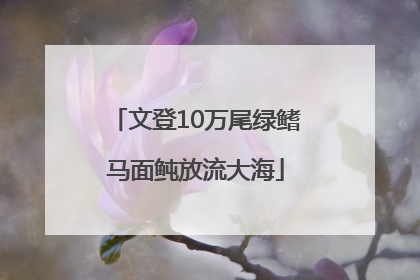 文登10万尾绿鳍马面鲀放流大海