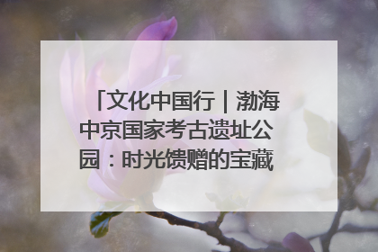 文化中国行｜渤海中京国家考古遗址公园：时光馈赠的宝藏 历史凝固的诗篇