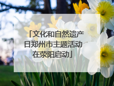 文化和自然遗产日郑州市主题活动在荥阳启动