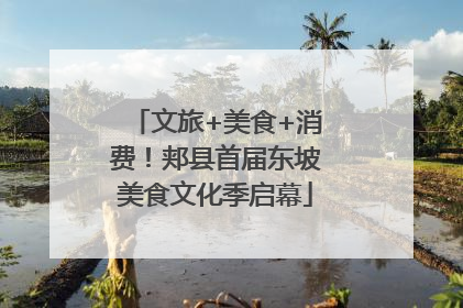 文旅+美食+消费！郏县首届东坡美食文化季启幕
