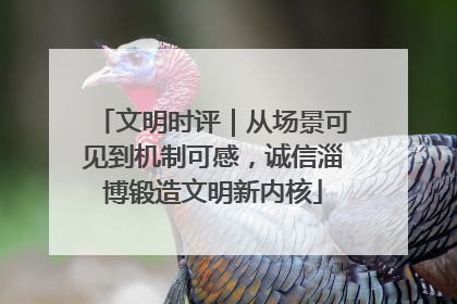 文明时评｜从场景可见到机制可感，诚信淄博锻造文明新内核