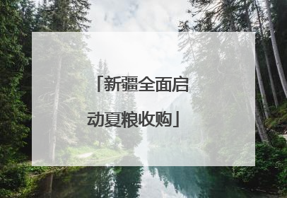 新疆全面启动夏粮收购