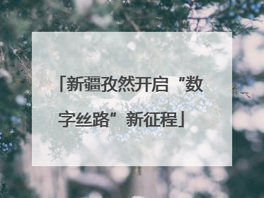 新疆孜然开启“数字丝路”新征程