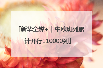 新华全媒+｜中欧班列累计开行110000列