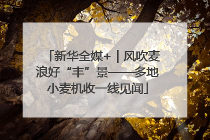 新华全媒+｜风吹麦浪好“丰”景——多地小麦机收一线见闻