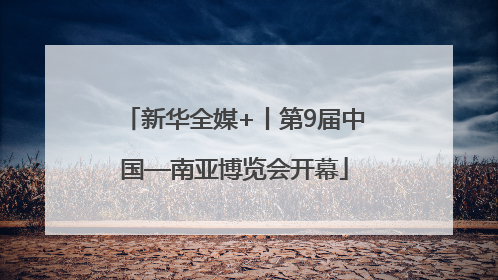 新华全媒+丨第9届中国—南亚博览会开幕