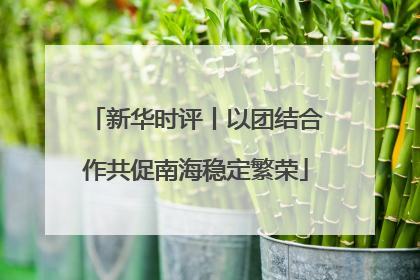 新华时评丨以团结合作共促南海稳定繁荣