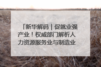 新华解码｜促就业强产业！权威部门解析人力资源服务业与制造业融合发展试点