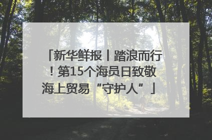 新华鲜报丨踏浪而行！第15个海员日致敬海上贸易“守护人”