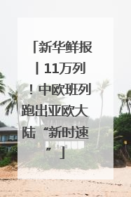 新华鲜报丨11万列！中欧班列跑出亚欧大陆“新时速”