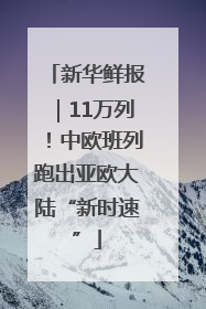 新华鲜报｜11万列！中欧班列跑出亚欧大陆“新时速”